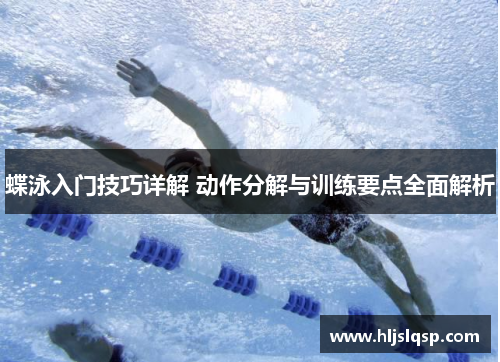 蝶泳入门技巧详解 动作分解与训练要点全面解析